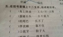 12生肖的歇后语