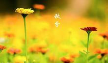 赞美大自然美景的短句