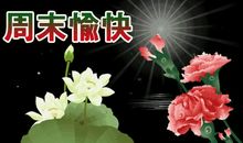 2019年周末祝福语大全