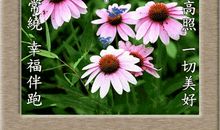 天冷祝福语大全