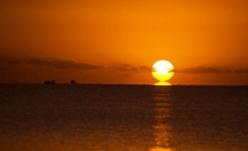 品尝描述日出的句子