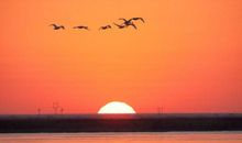 描述太阳升起的句子