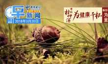 抖音早安的句子