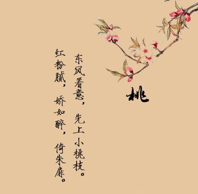 美丽的简短句子