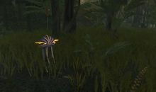 超越别人的句子