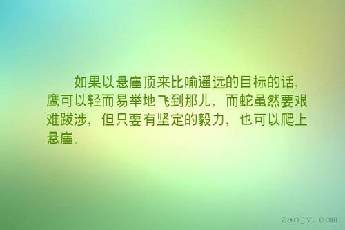 关于目标的漂亮句子