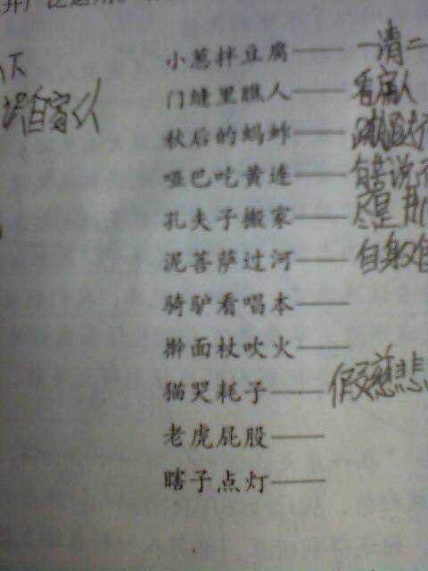 将黄色甚至寓言寓意放在鼻子上