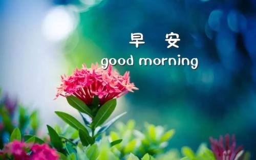 早安祝福