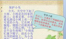 爱护小鸟的句子