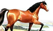 水牛打架的歇后语