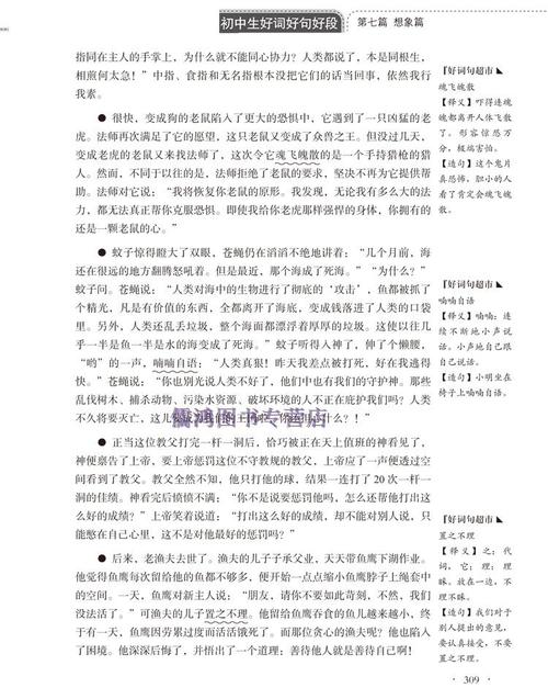 初中生的好单词和句子