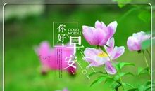 最美的清晨祝福语