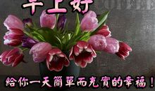 写早晨的拟人句