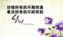 小学生成长感悟的句子