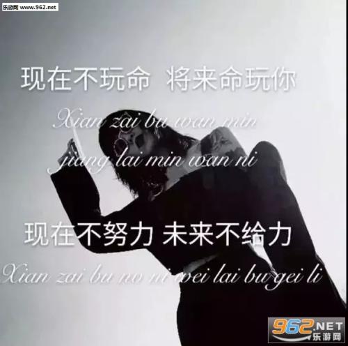 窦音经典句爱情