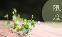 英文人生经典语录