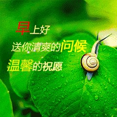 早晨的祝福