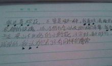 用不是而是造句大全