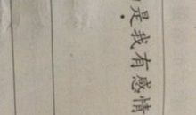 用不是不是是造句大全