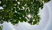 形容景色美的谚语