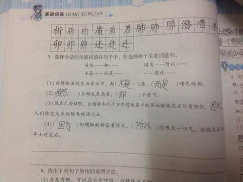 在句子中使用或不使用