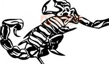 蛇吞蝎子歇后语