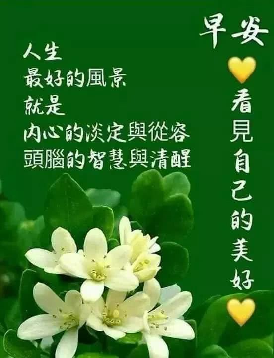 温暖的早晨的祝福