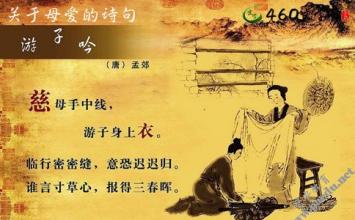 赞美母爱的句子