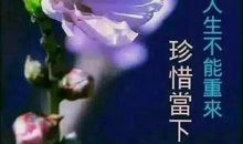 朋友们早安祝福语