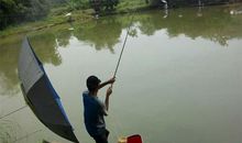 坐上飞机钓鱼歇后语