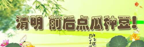 关于清明的谚语集