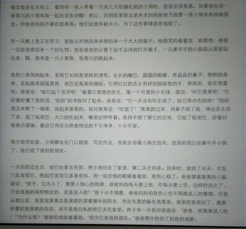 描述荷花的拟人化句子