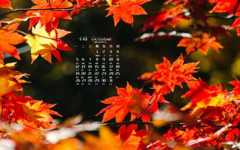 平面树的拟人化句子