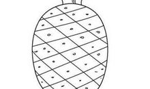 有关菠萝的比喻句