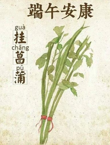 端午节安康句子