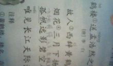 最短人间真情句子大全