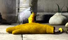 赞扬松树拟人句