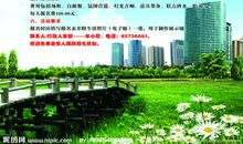 联谊活动宣传口号