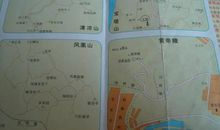 导游风采展示口号大全