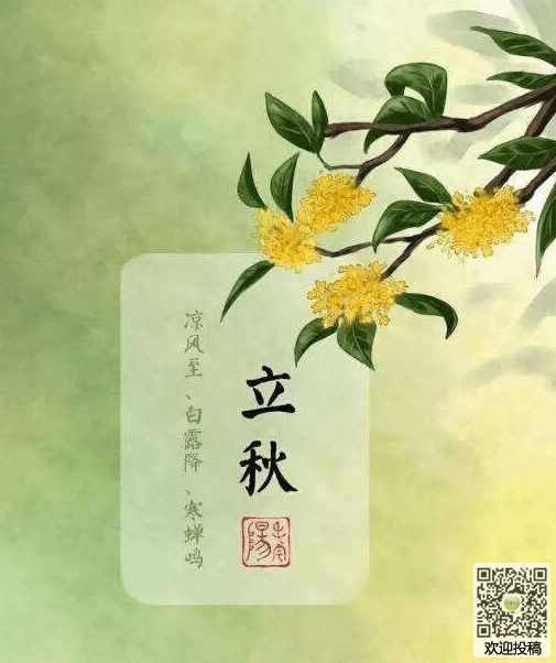 二十四节气谚语