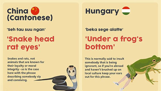 有用的谚语英语