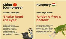 中考有用的谚语英语