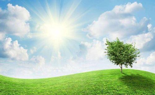 一句话描述明天会更好