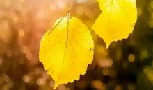 做事先修心，凡事多琢磨