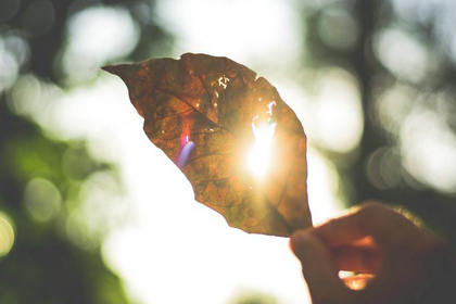 每天起床告诉自己，保持微笑，天气真好