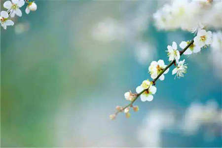 事先做好准备，想一想1