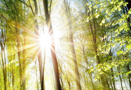 每天起床告诉自己，保持微笑，天气真好1