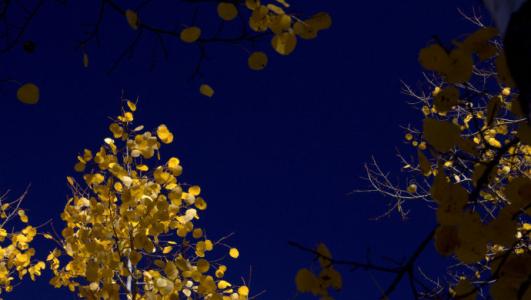 秋天的心情句子