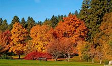 秋天小草拟人句