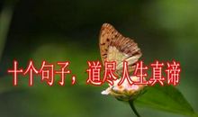 生活真谛的句子